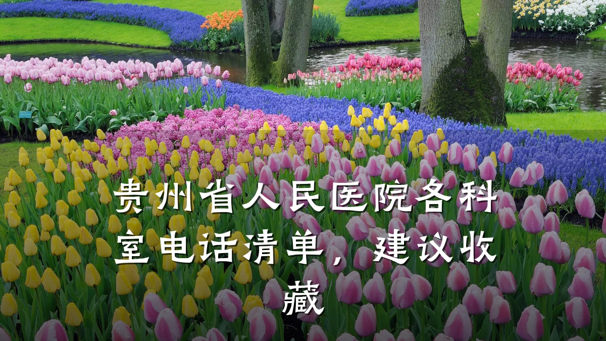 贵州省人民医院各科室电话清单，建议收藏