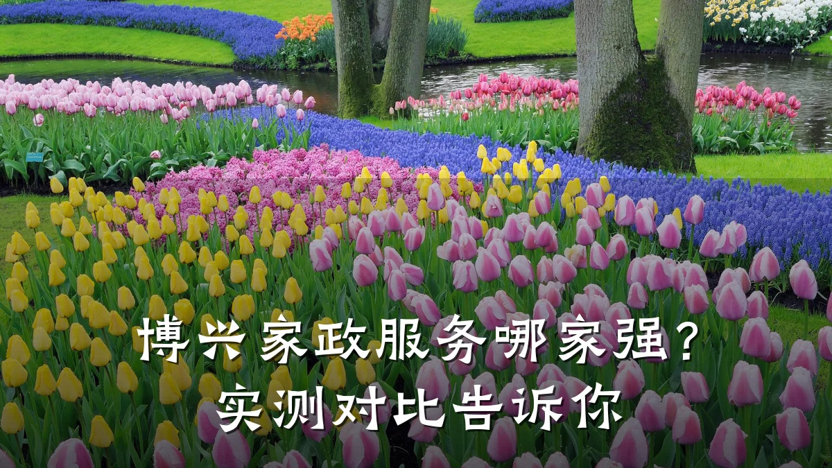 博兴家政服务哪家强？实测对比告诉你