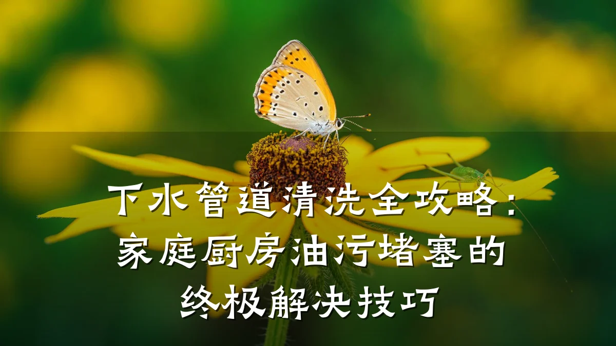 下水管道清洗全攻略：家庭厨房油污堵塞的终极解决技巧
