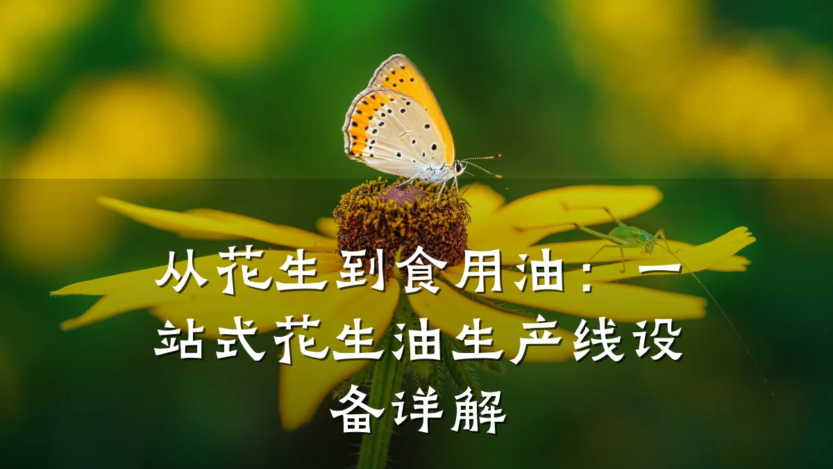 从花生到食用油:一站式花生油生产线设备详解