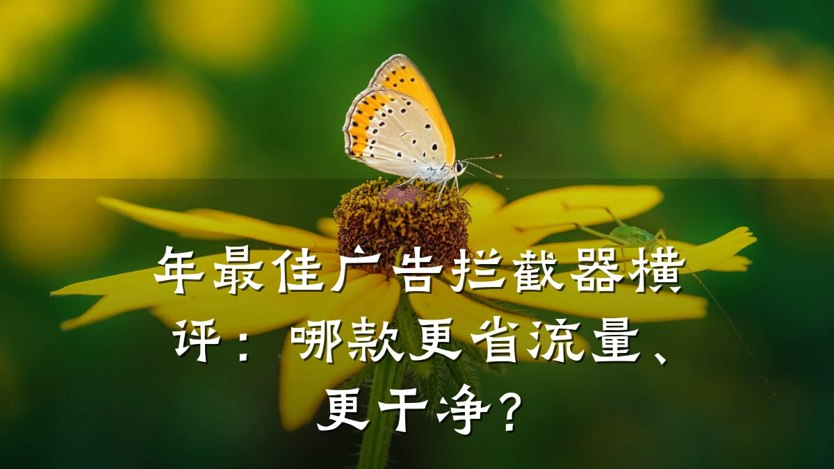 年最佳广告拦截器横评:哪款更省流量、更干净?