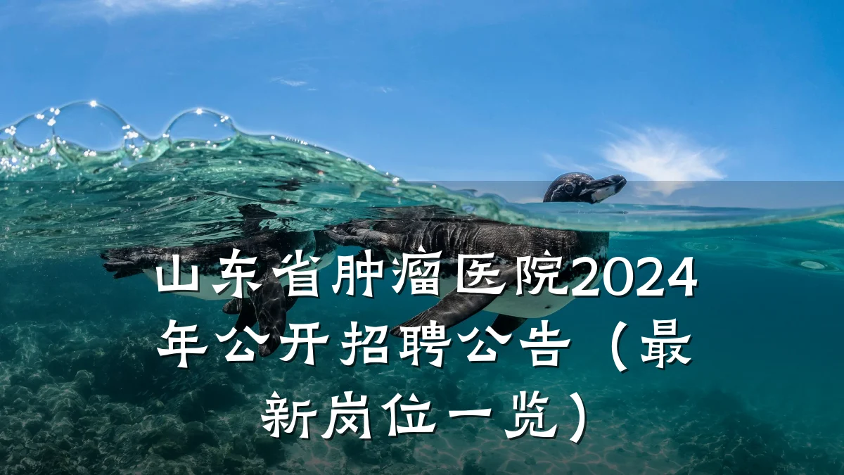 山东省肿瘤医院2024年公开招聘公告（最新岗位一览）