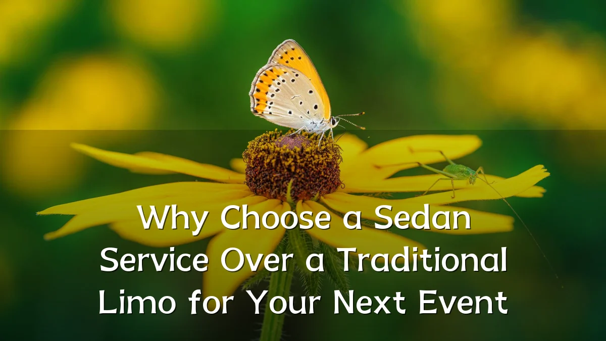 Why Choose a Sedan Service Over a Traditional Limo for Your Next Event