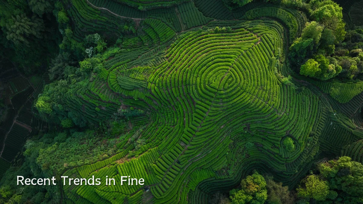 Recent Trends in Fine