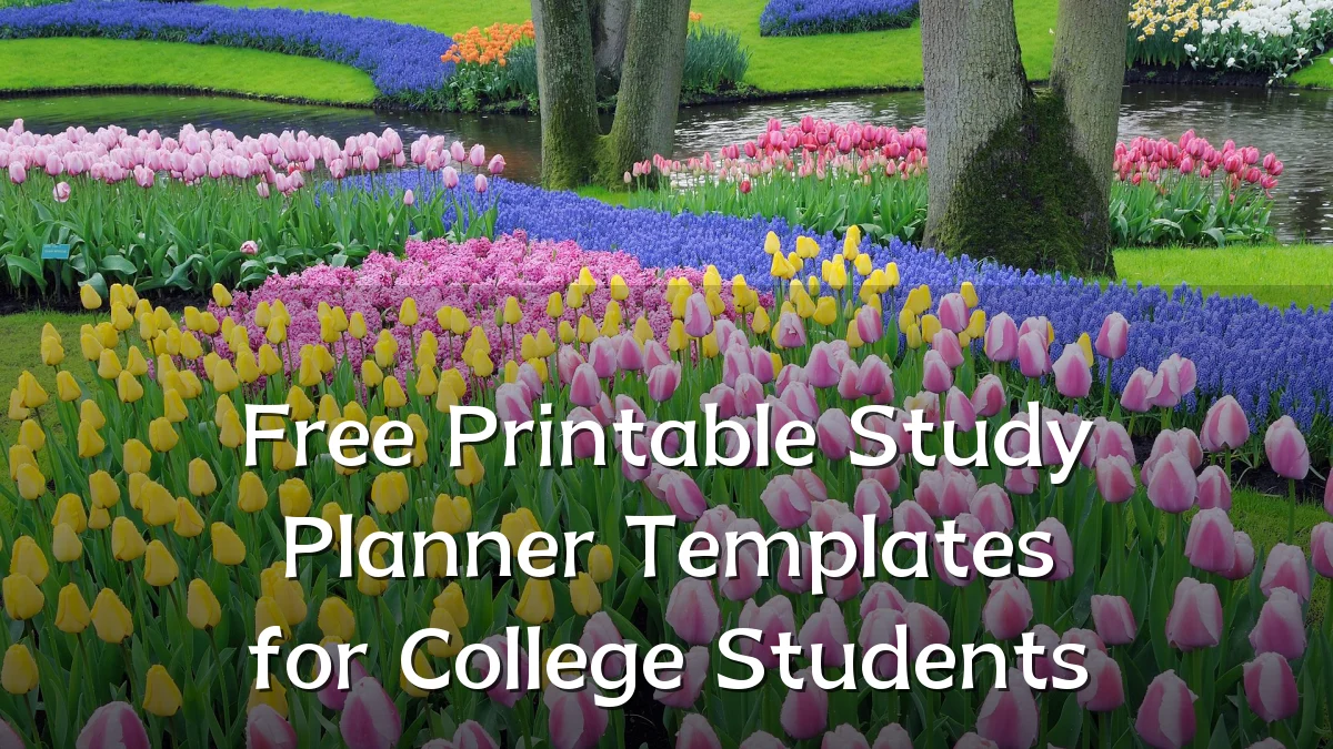 Free Printable Study Planner Templates for College Students