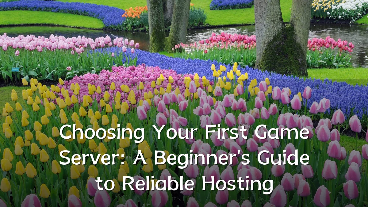 Choosing Your First Game Server: A Beginner's Guide to Reliable Hosting