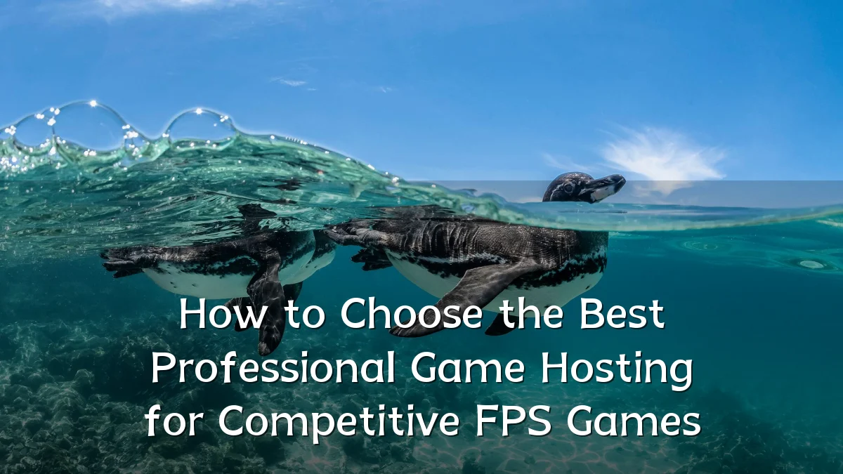 How to Choose the Best Professional Game Hosting for Competitive FPS Games