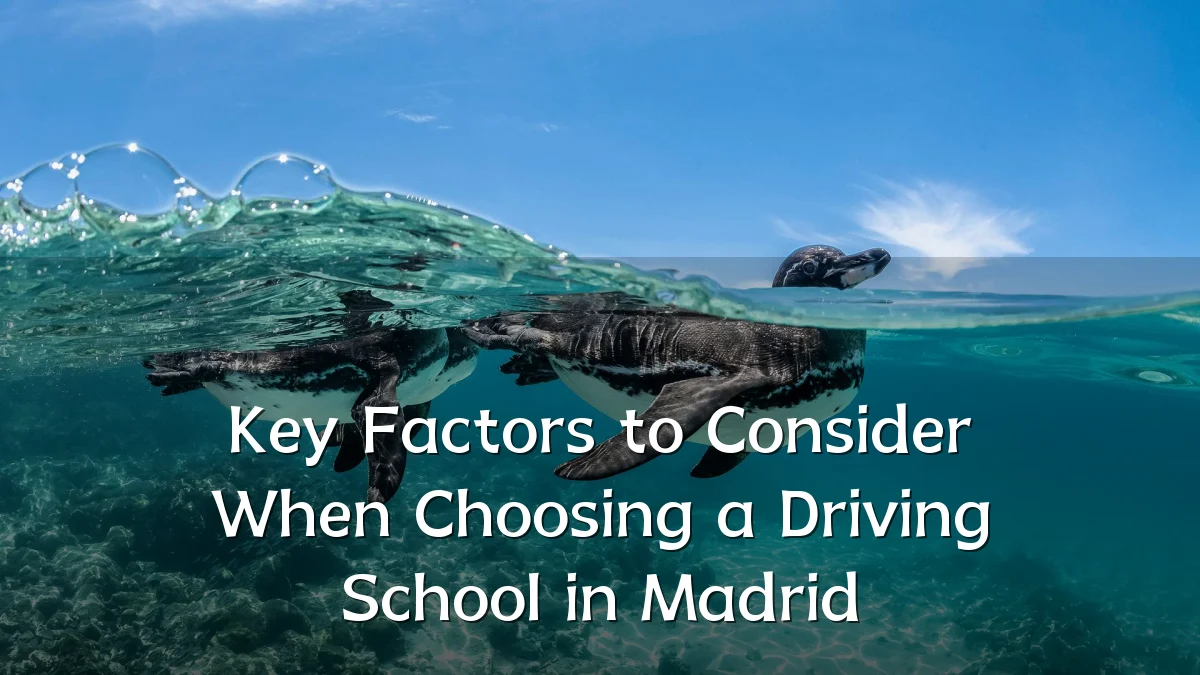 Key Factors to Consider When Choosing a Driving School in Madrid
