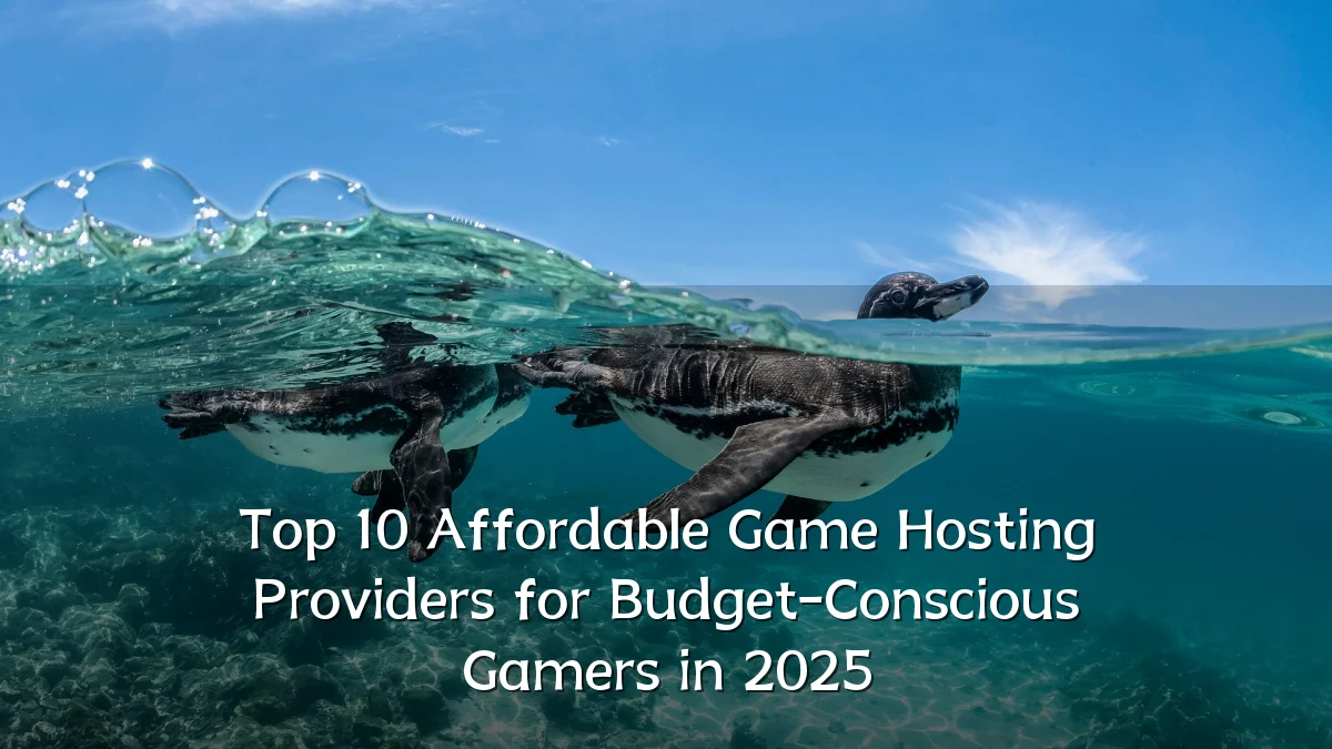 Top 10 Affordable Game Hosting Providers for Budget-Conscious Gamers in 2025
