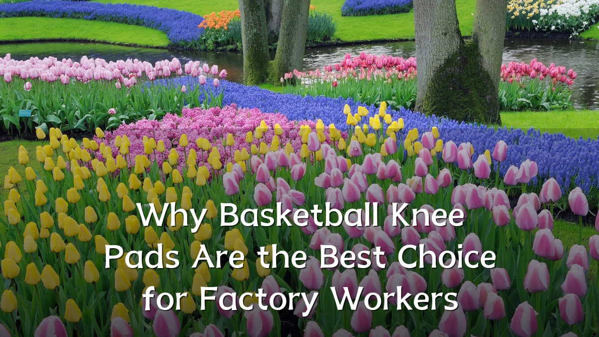 Why Basketball Knee Pads Are the Best Choice for Factory Workers