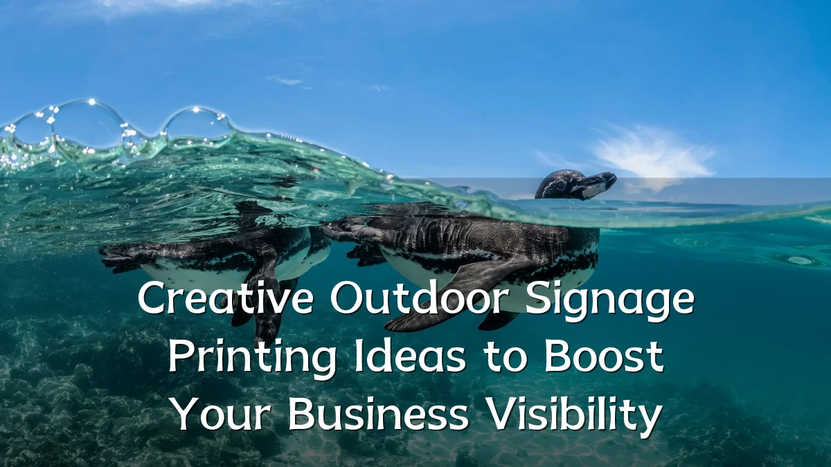 Creative Outdoor Signage Printing Ideas to Boost Your Business Visibility