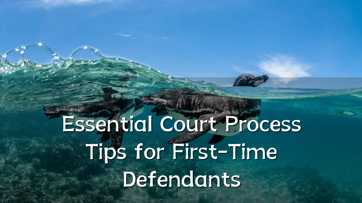 Essential Court Process Tips for First-Time Defendants