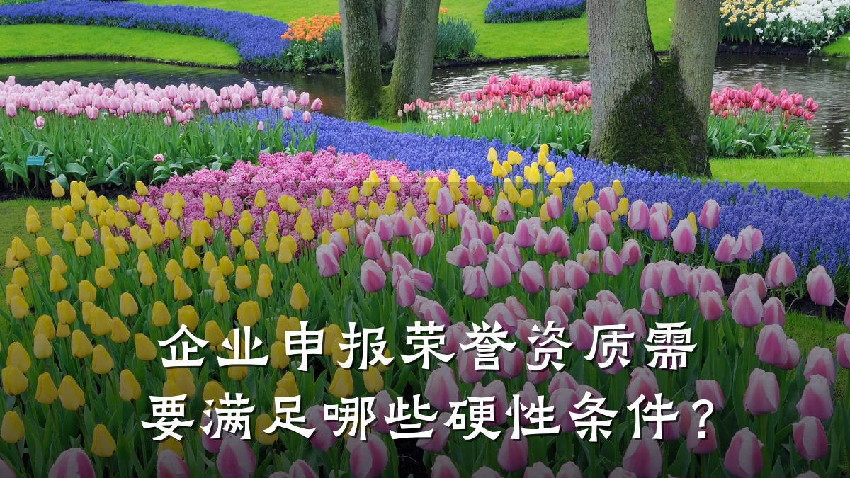 企业申报荣誉资质需要满足哪些硬性条件？