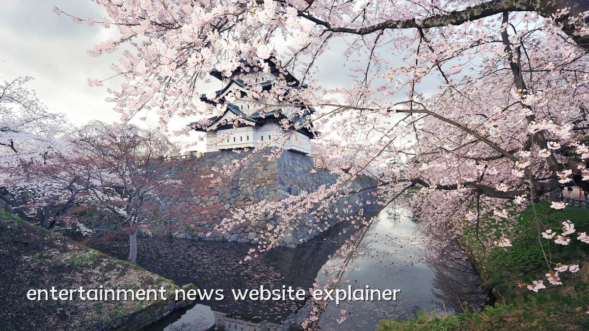 entertainment news website explainer