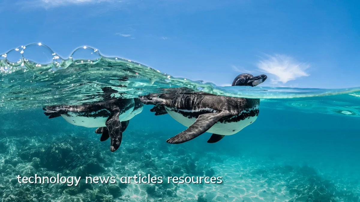 technology news articles resources