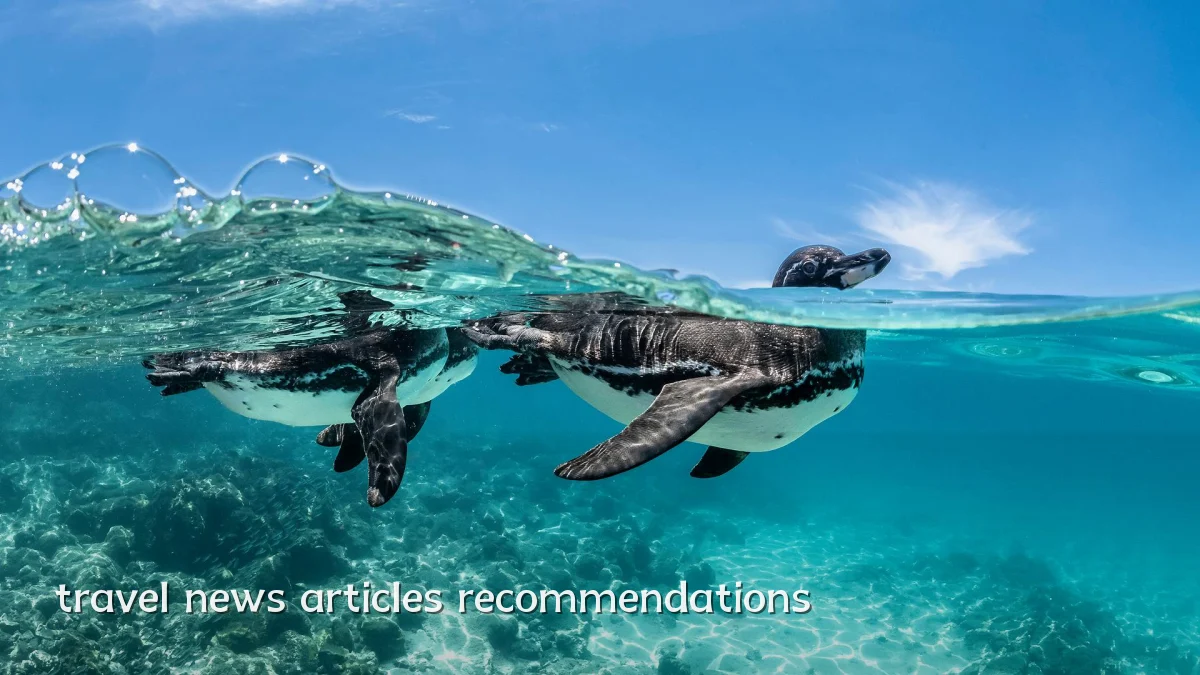 travel news articles recommendations
