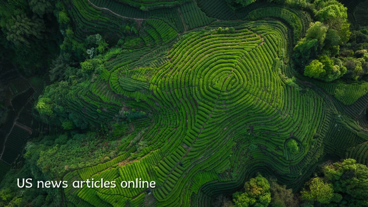 US news articles online