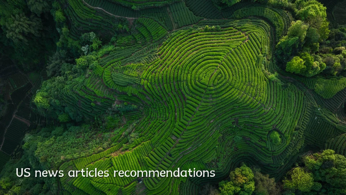 US news articles recommendations