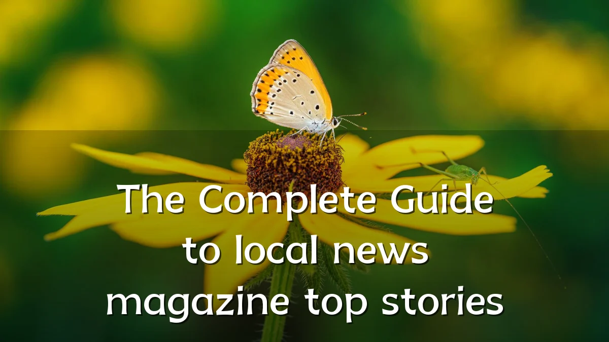 The Complete Guide to local news magazine top stories