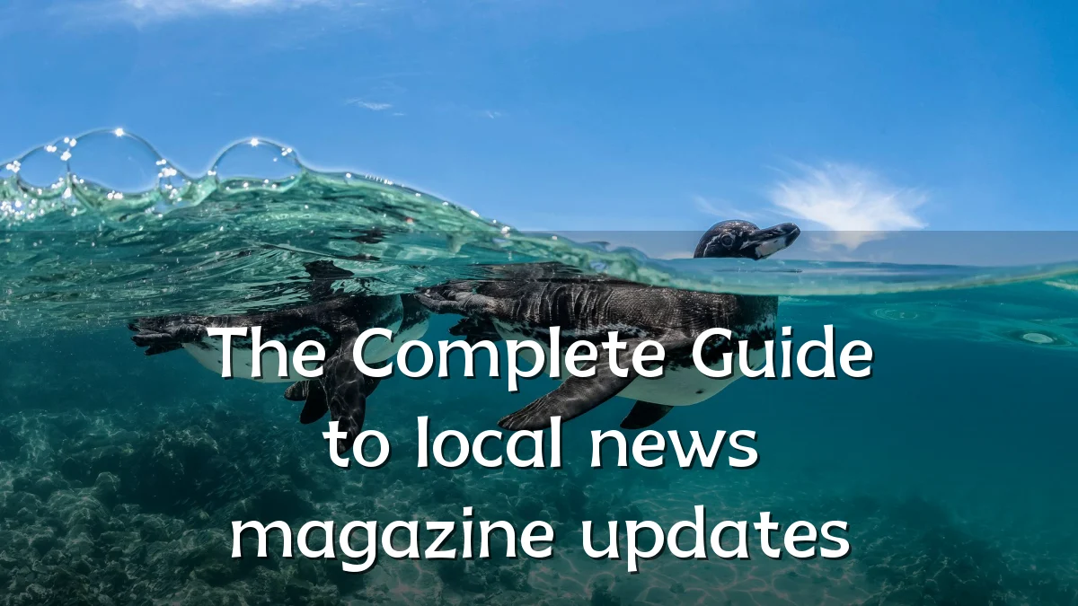 The Complete Guide to local news magazine updates