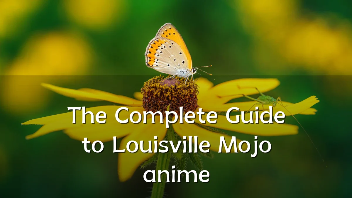 The Complete Guide to Louisville Mojo anime