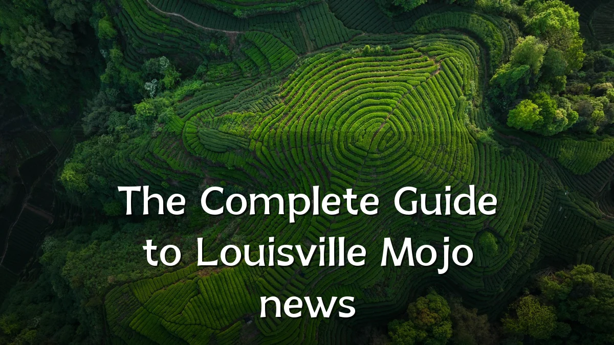 The Complete Guide to Louisville Mojo news