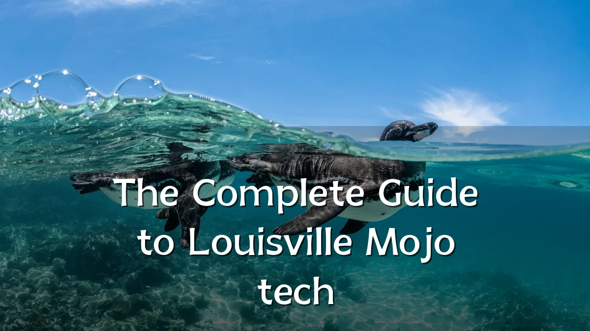 The Complete Guide to Louisville Mojo tech