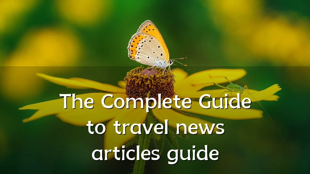 The Complete Guide to travel news articles guide
