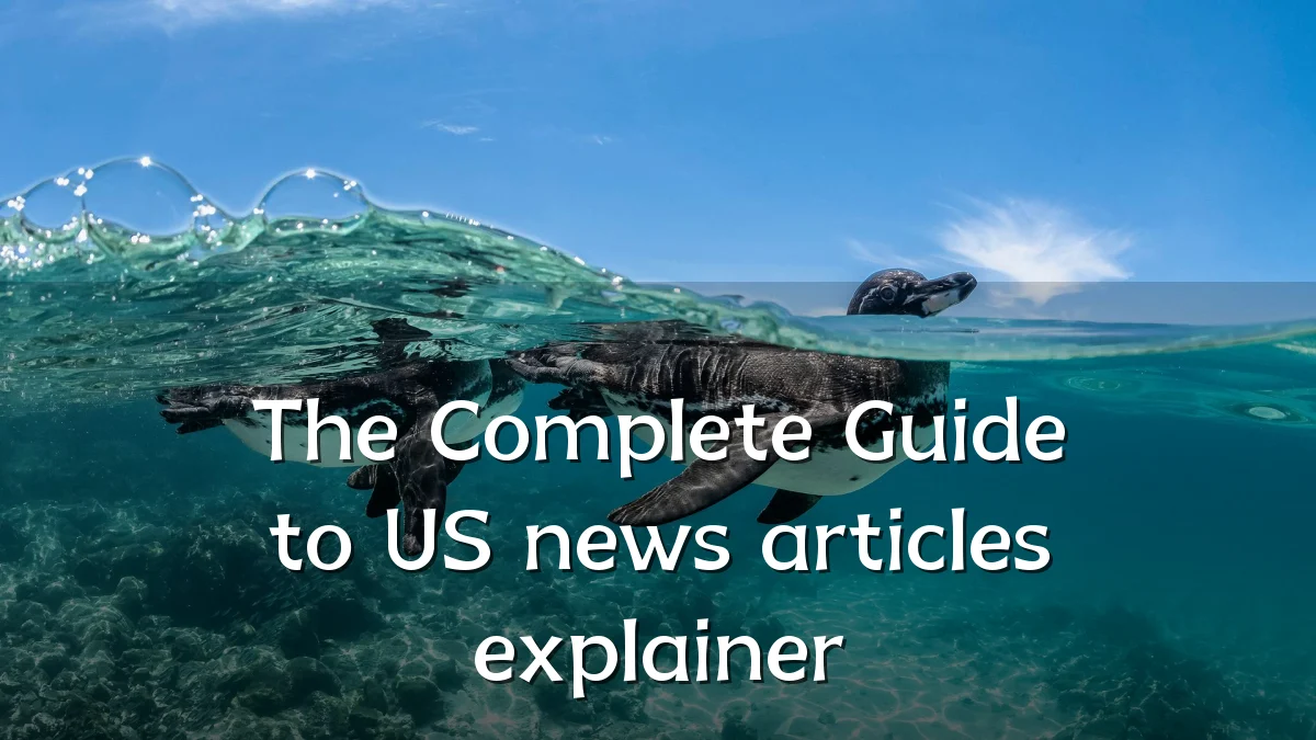 The Complete Guide to US news articles explainer