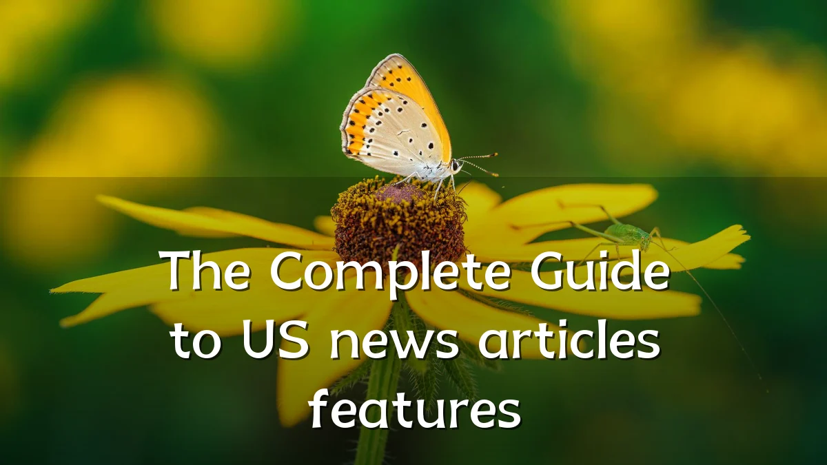 The Complete Guide to US news articles features