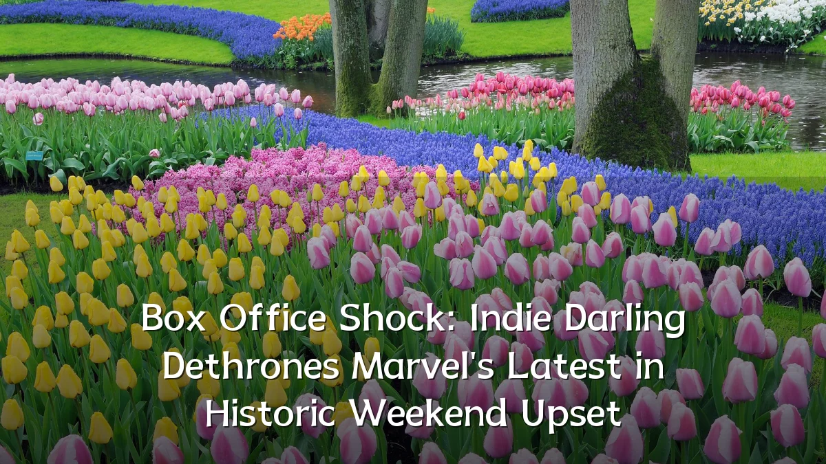 Box Office Shock: Indie Darling Dethrones Marvel's Latest in Historic Weekend Upset