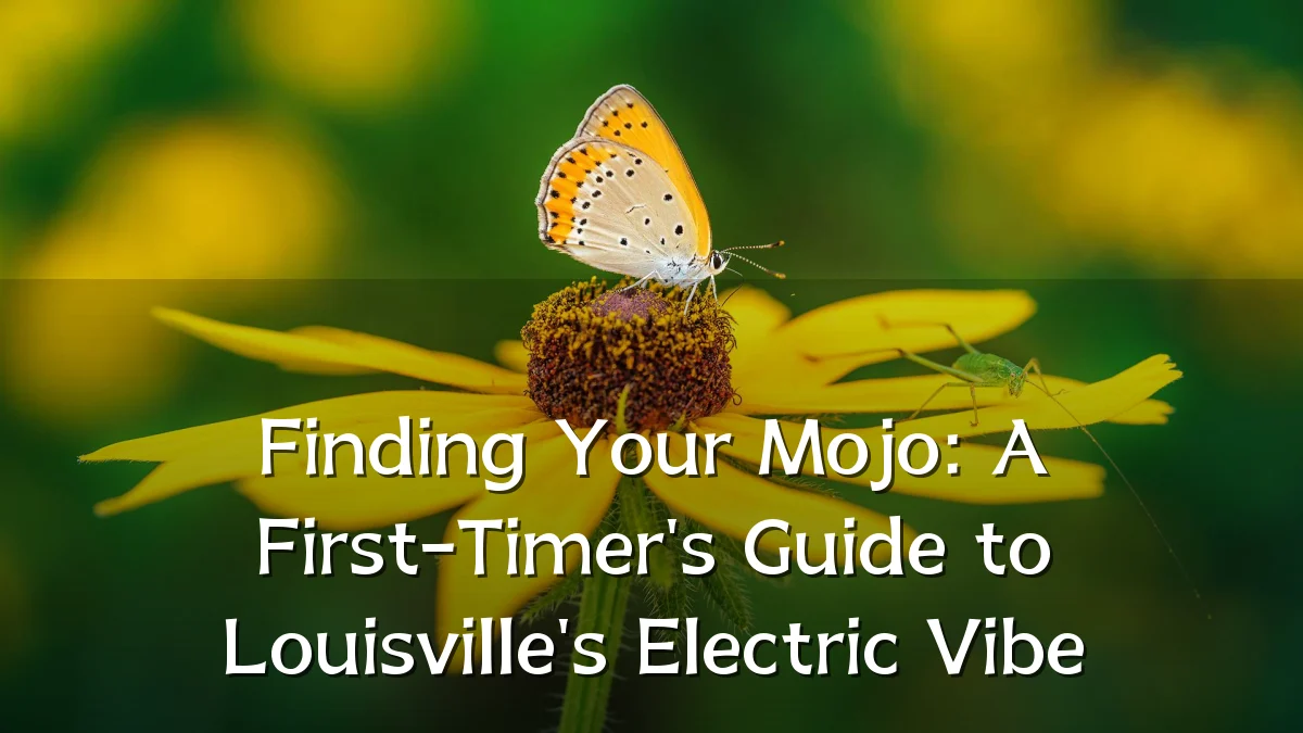 Finding Your Mojo: A First-Timer's Guide to Louisville's Electric Vibe
