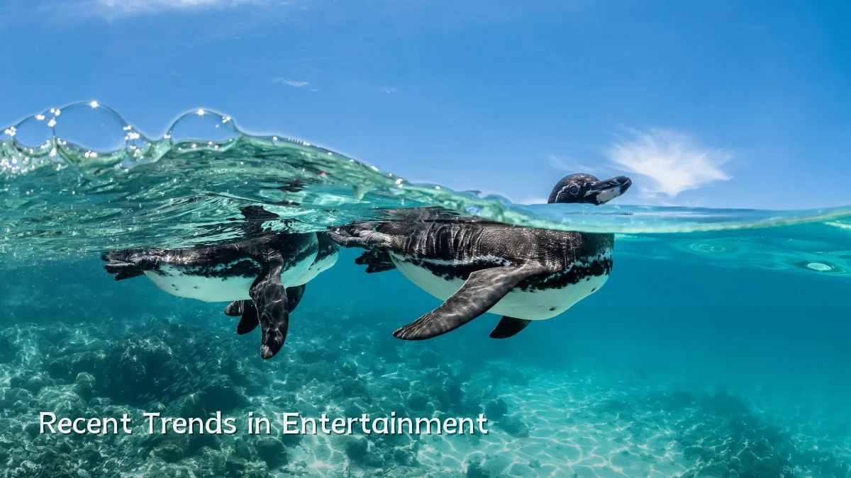 Recent Trends in Entertainment