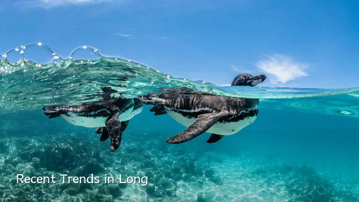 Recent Trends in Long