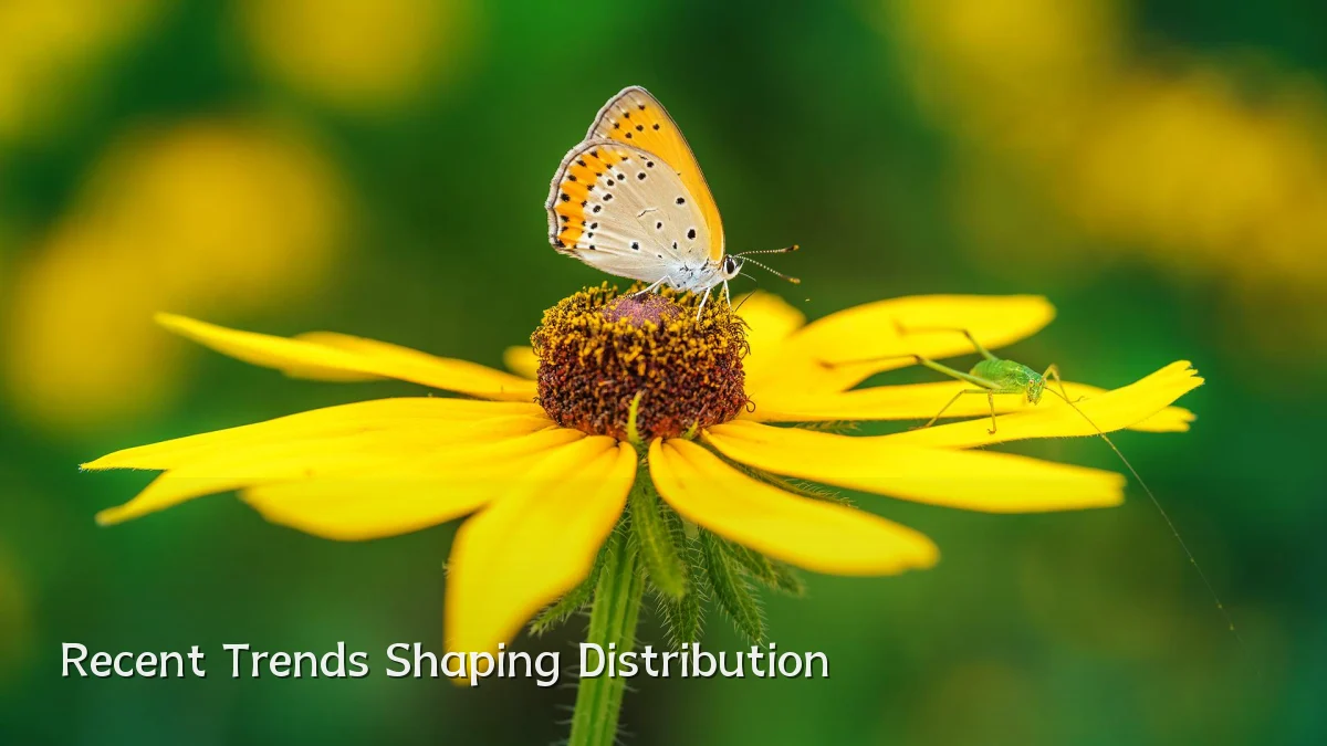 Recent Trends Shaping Distribution