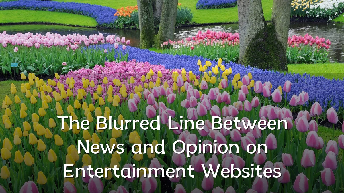 The Blurred Line Between News and Opinion on Entertainment Websites