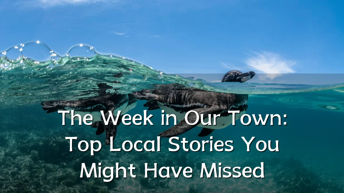 The Week in Our Town: Top Local Stories You Might Have Missed