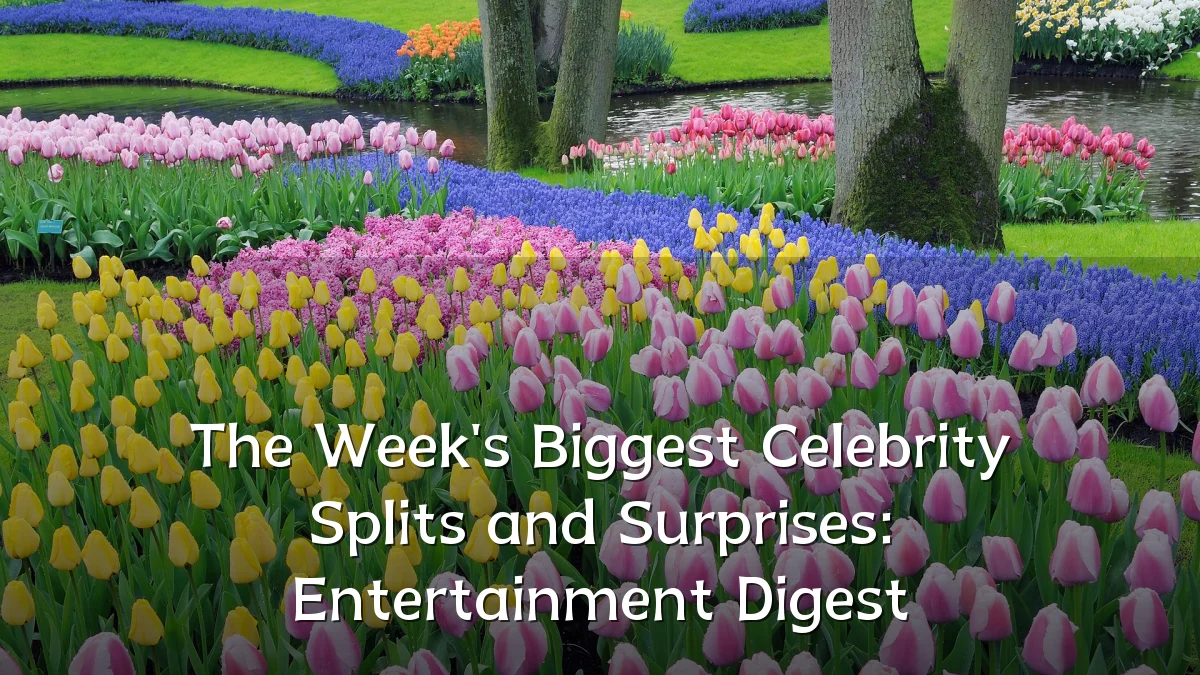 The Week's Biggest Celebrity Splits and Surprises: Entertainment Digest