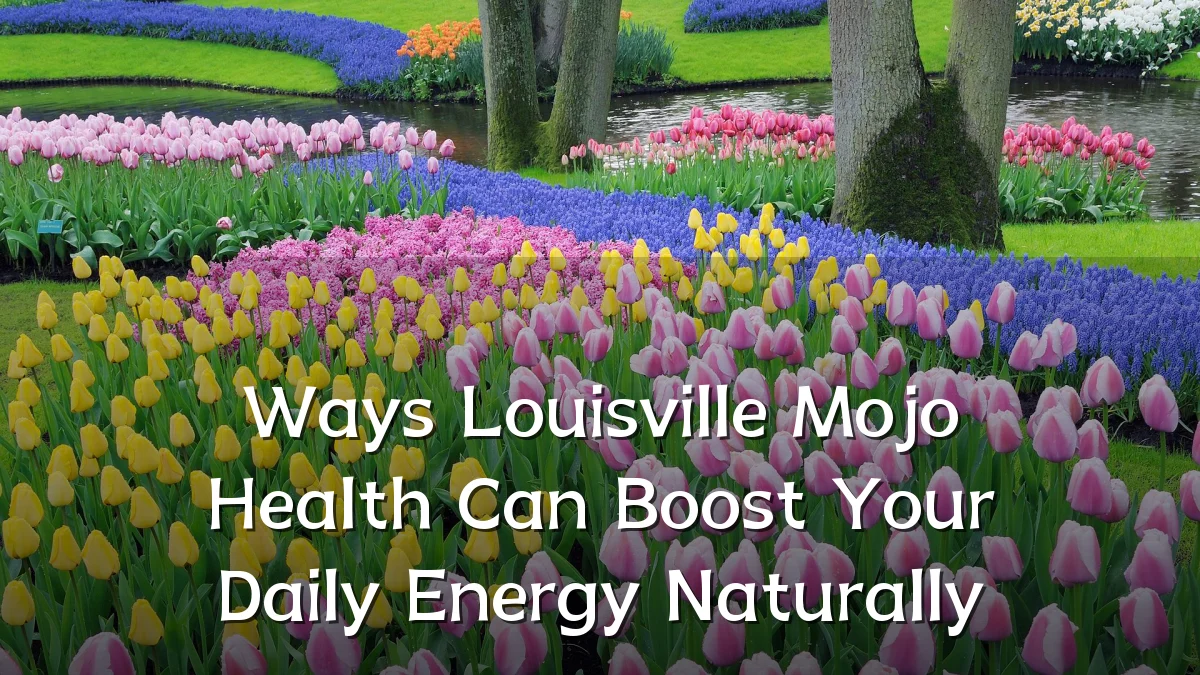 Ways Louisville Mojo Health Can Boost Your Daily Energy Naturally