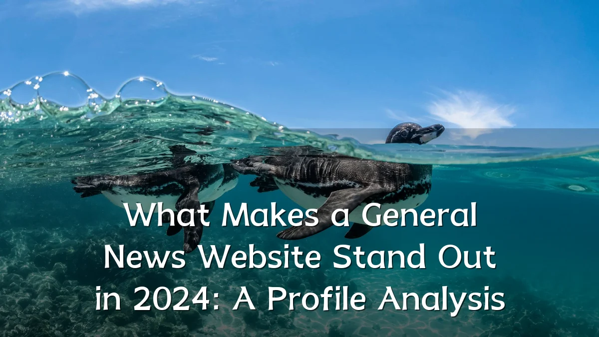What Makes a General News Website Stand Out in 2024: A Profile Analysis