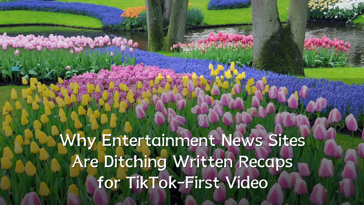 Why Entertainment News Sites Are Ditching Written Recaps for TikTok-First Video