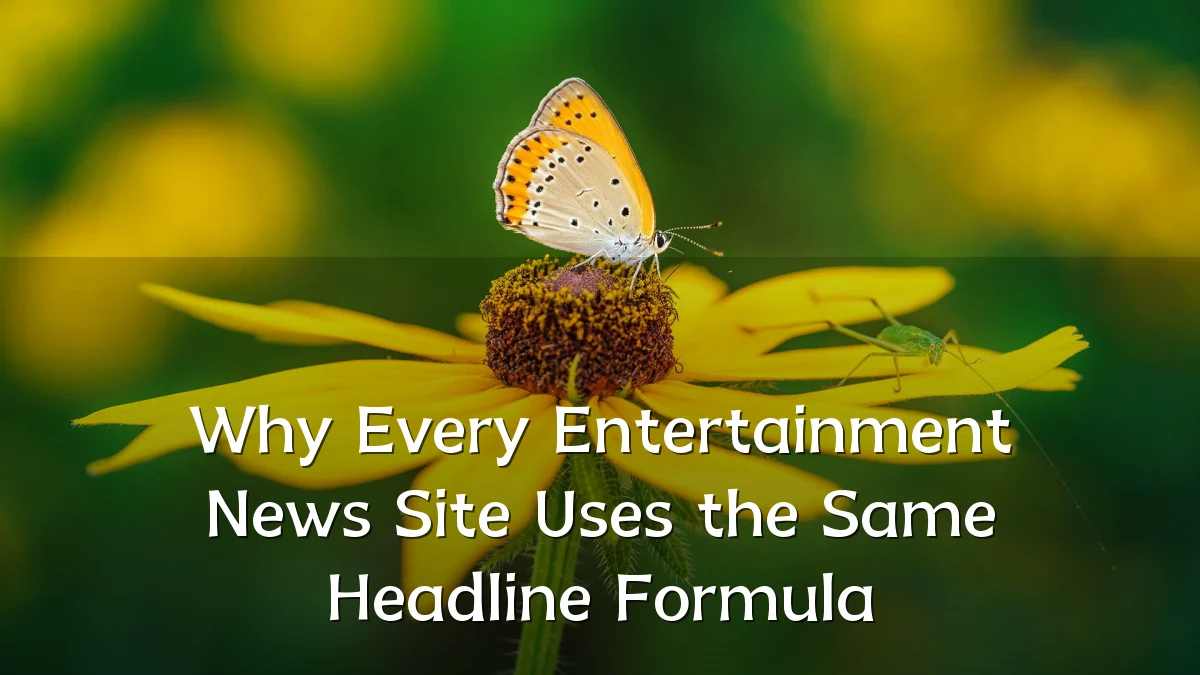 Why Every Entertainment News Site Uses the Same Headline Formula