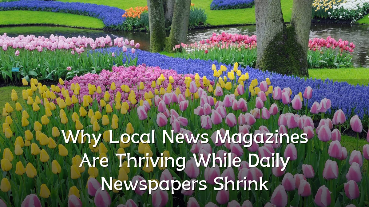 Why Local News Magazines Are Thriving While Daily Newspapers Shrink