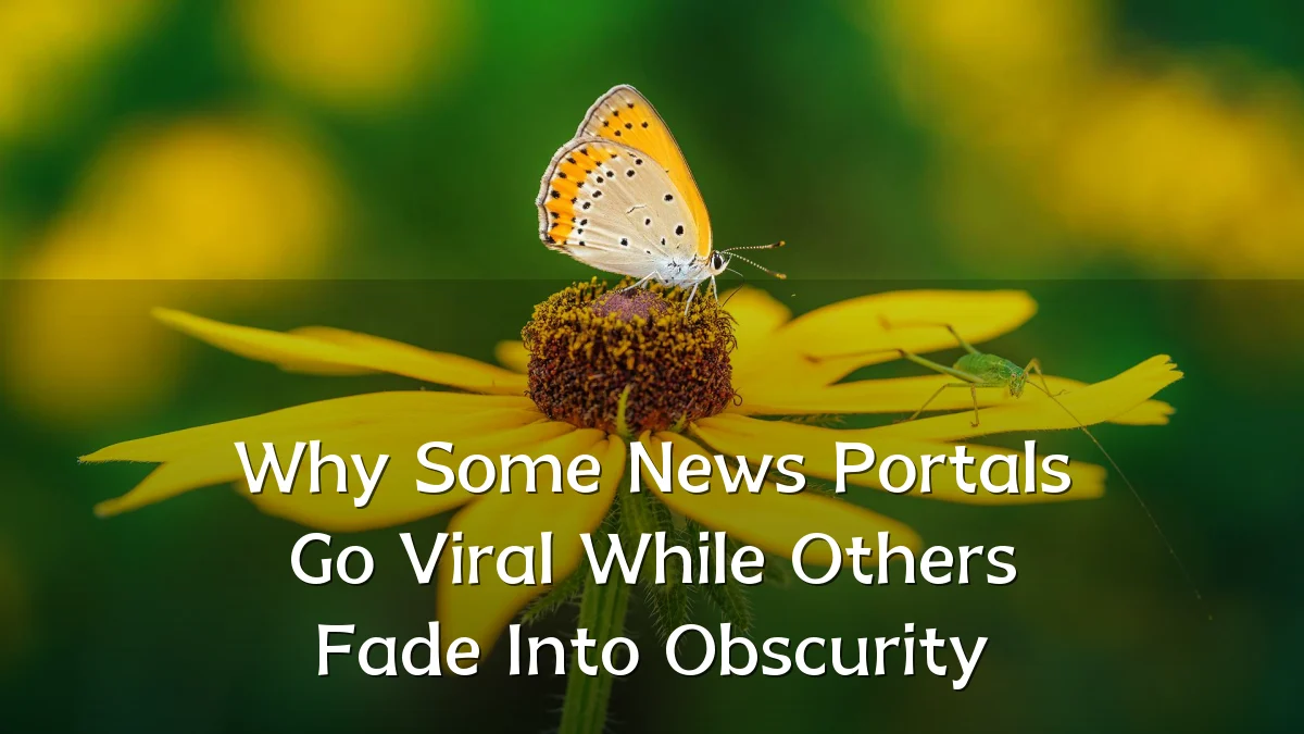 Why Some News Portals Go Viral While Others Fade Into Obscurity