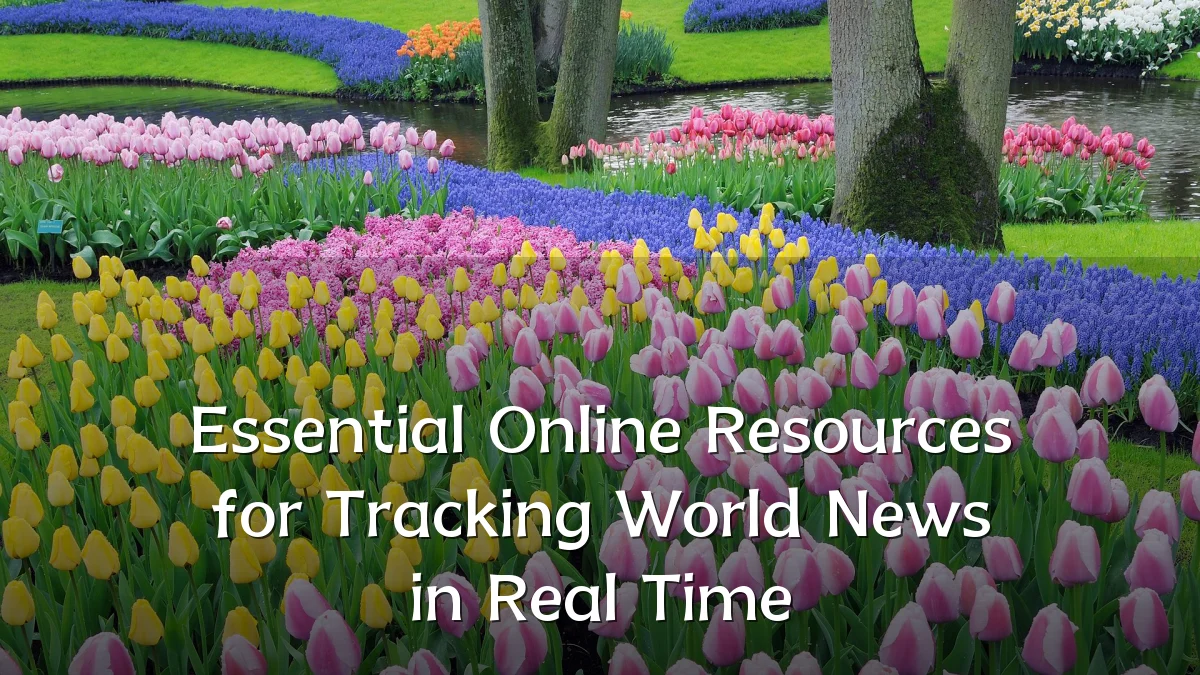 Essential Online Resources for Tracking World News in Real Time
