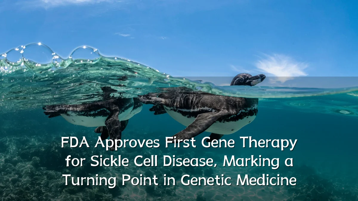 FDA Approves First Gene Therapy for Sickle Cell Disease, Marking a Turning Point in Genetic Medicine