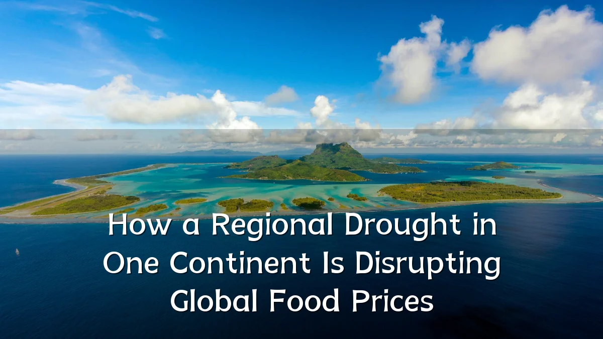 How a Regional Drought in One Continent Is Disrupting Global Food Prices