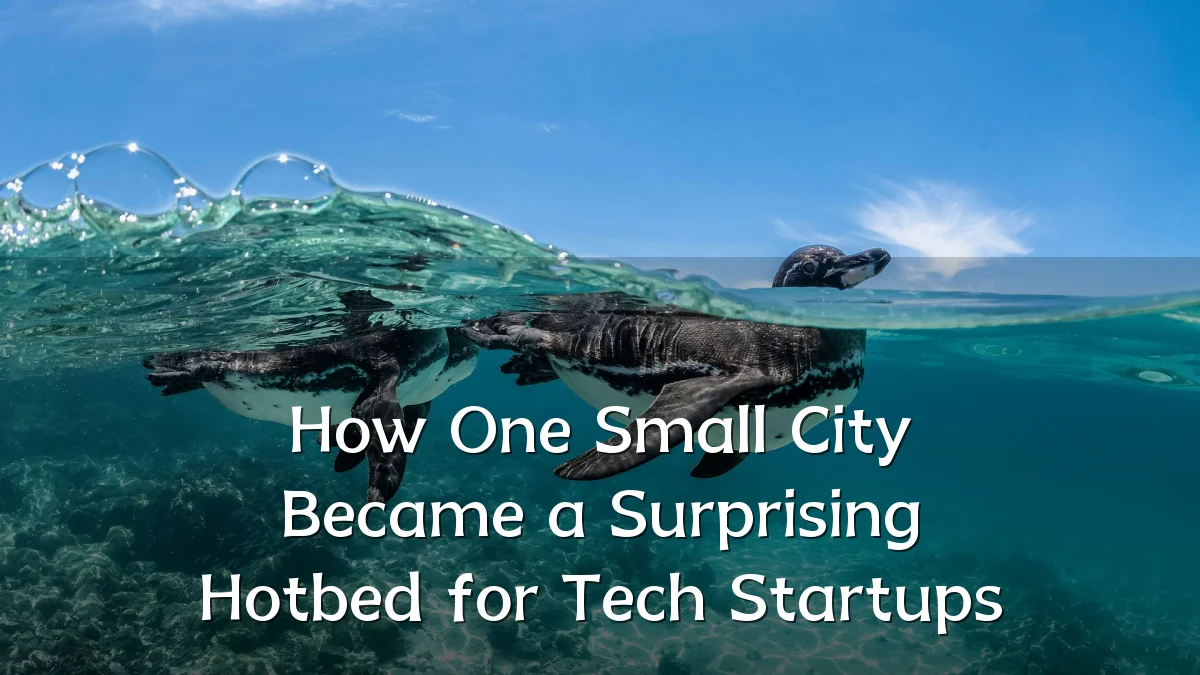 How One Small City Became a Surprising Hotbed for Tech Startups