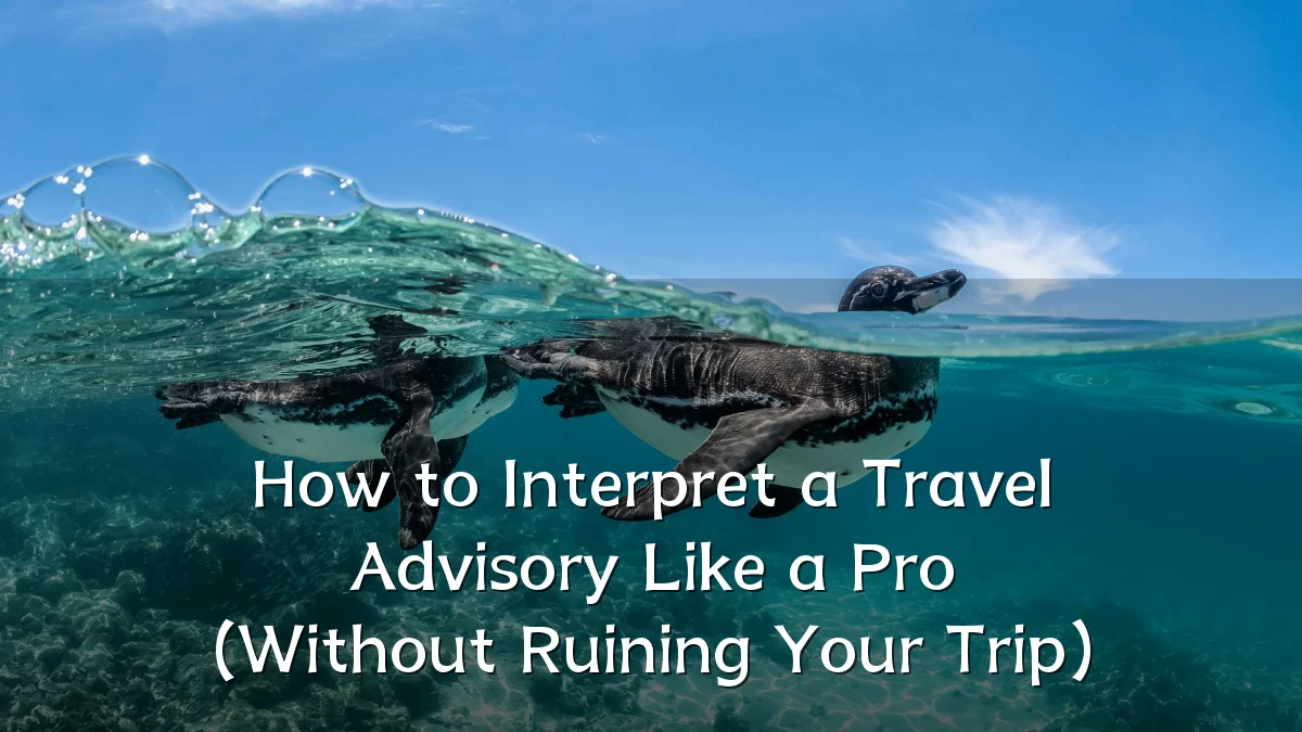 How to Interpret a Travel Advisory Like a Pro (Without Ruining Your Trip)