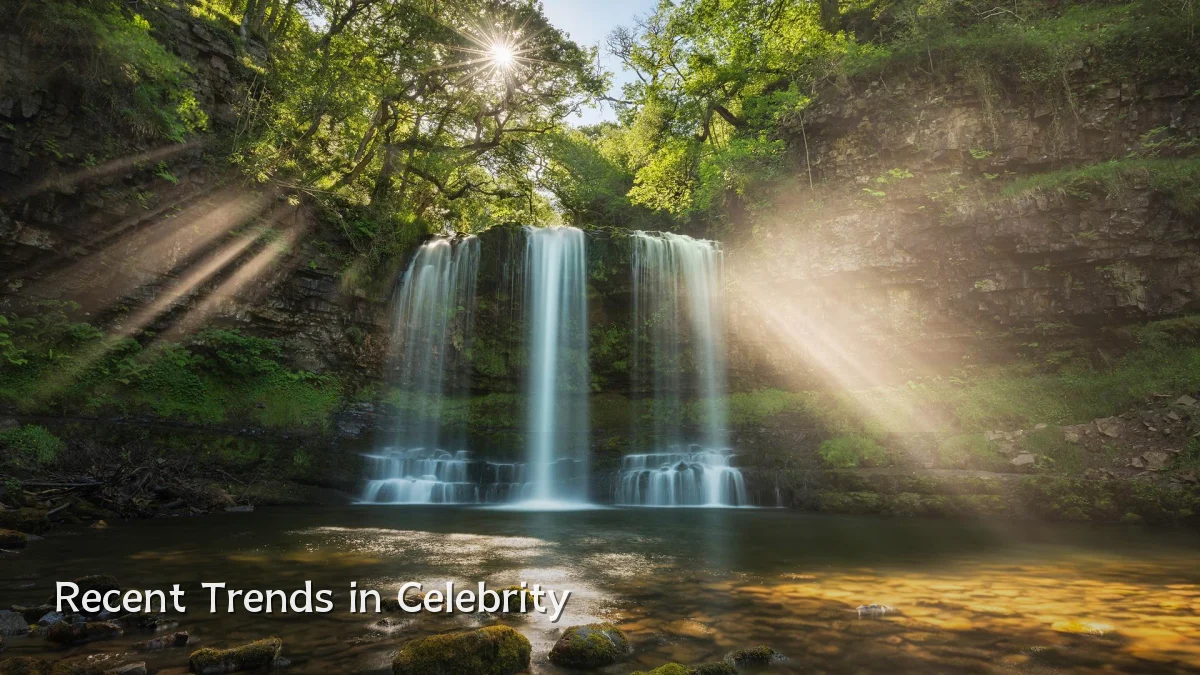 Recent Trends in Celebrity